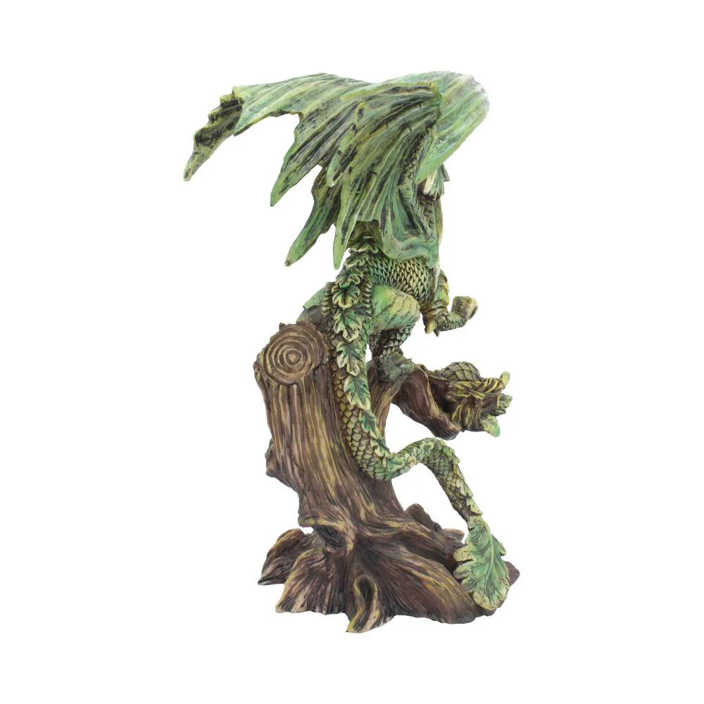 Adult Forest Dragon - Image 4
