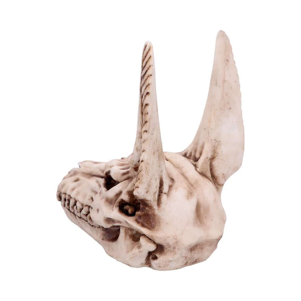 Anubis Skull - Image 3
