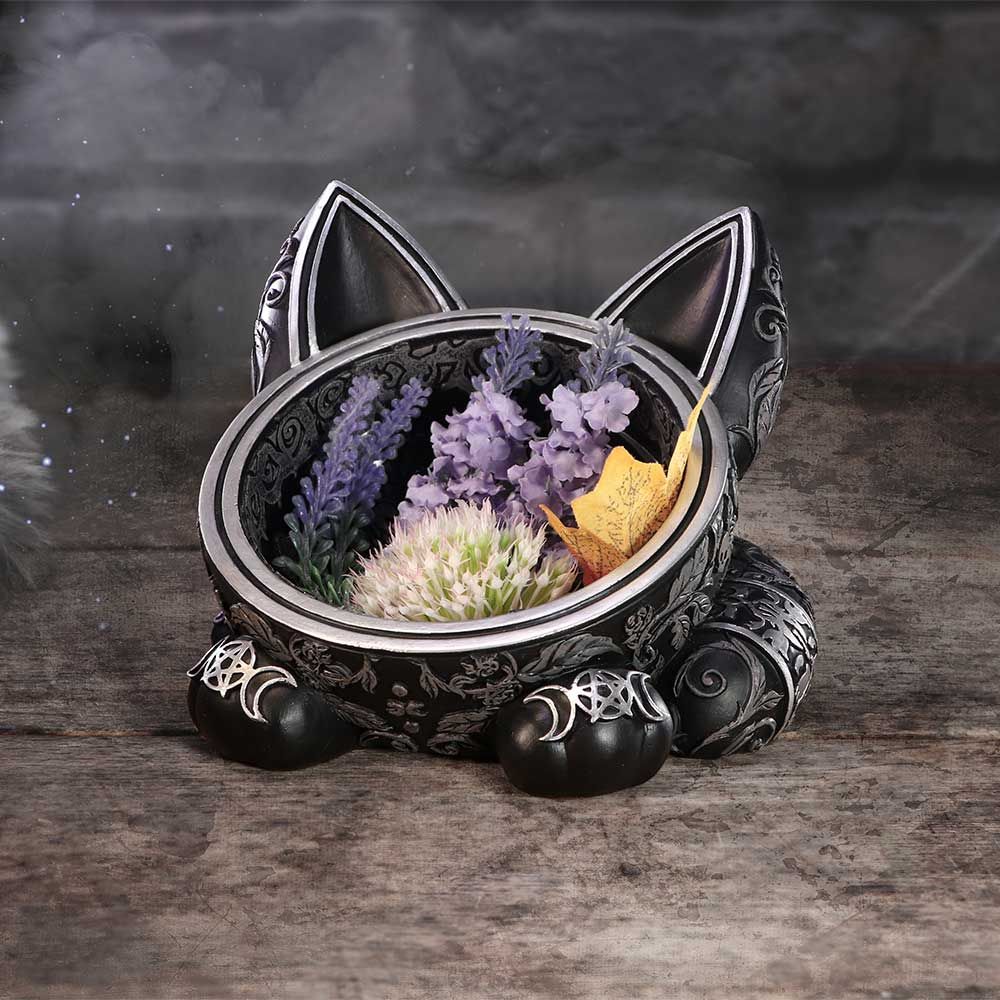 Black Cat Magic Trinket Dish - Image 9