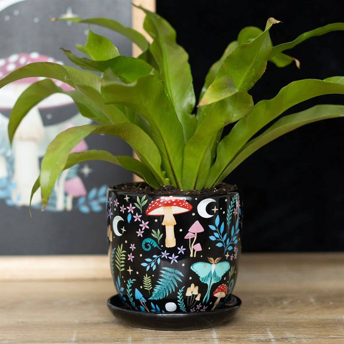 Dark Forest Plant Pot - Image 3
