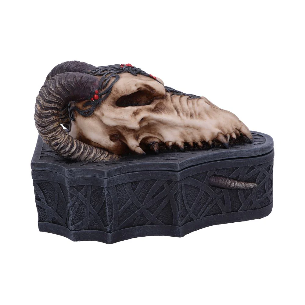 Dragon Skull Box - Image 3