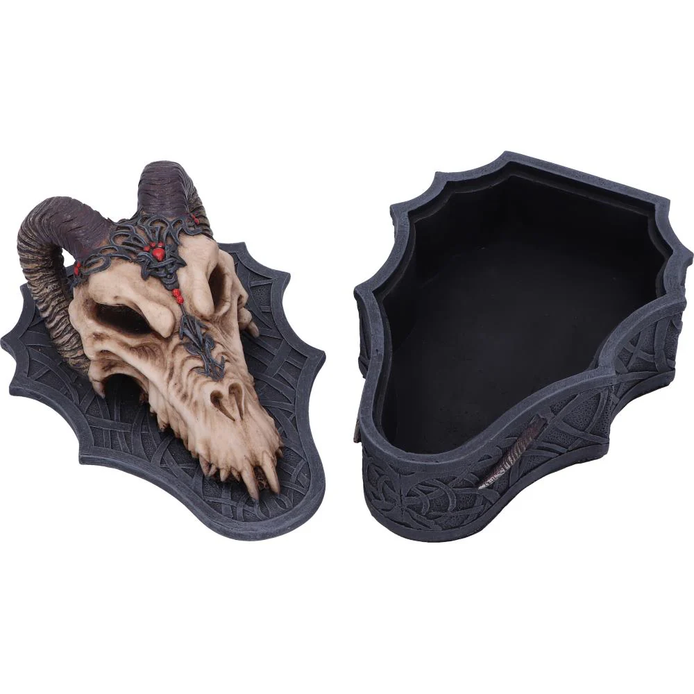 Dragon Skull Box - Image 4