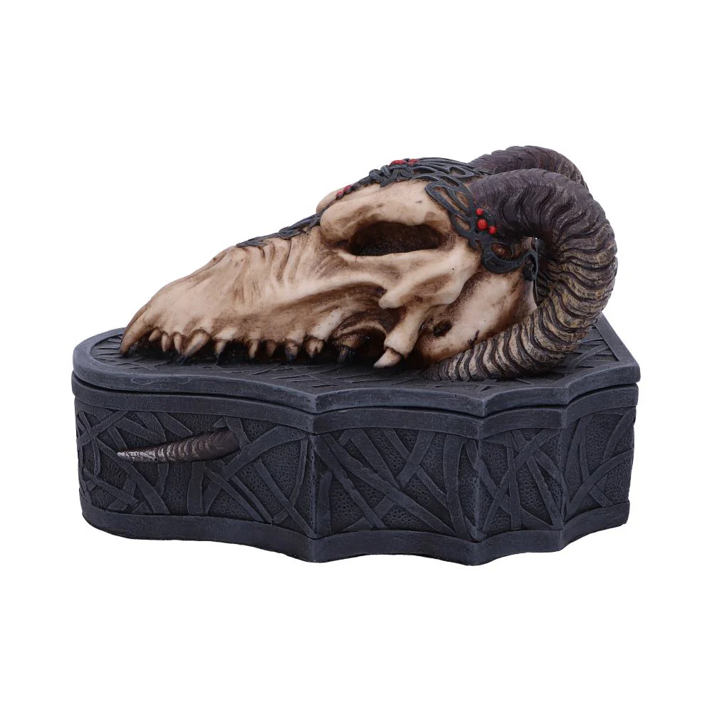 Dragon Skull Box - Image 5
