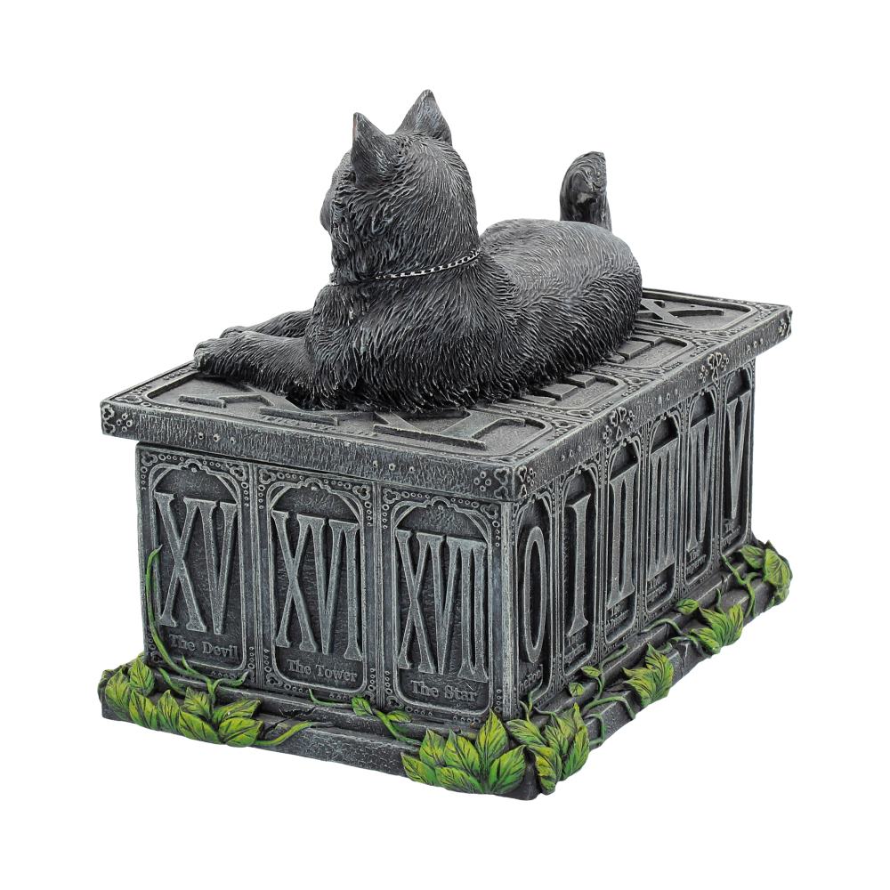 Fortune's Watcher Black Cat Tarot Box - Image 3
