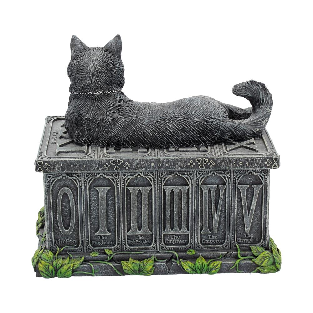 Fortune's Watcher Black Cat Tarot Box - Image 4