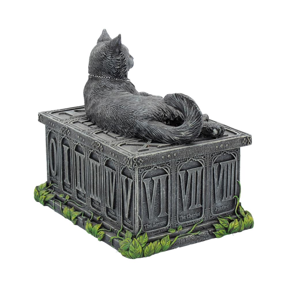 Fortune's Watcher Black Cat Tarot Box - Image 5