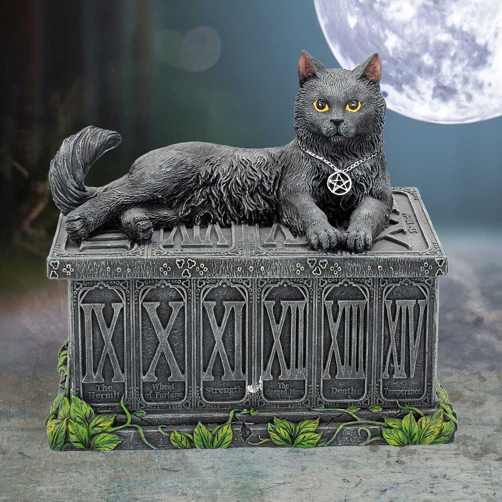 Fortune's Watcher Black Cat Tarot Box - Image 7
