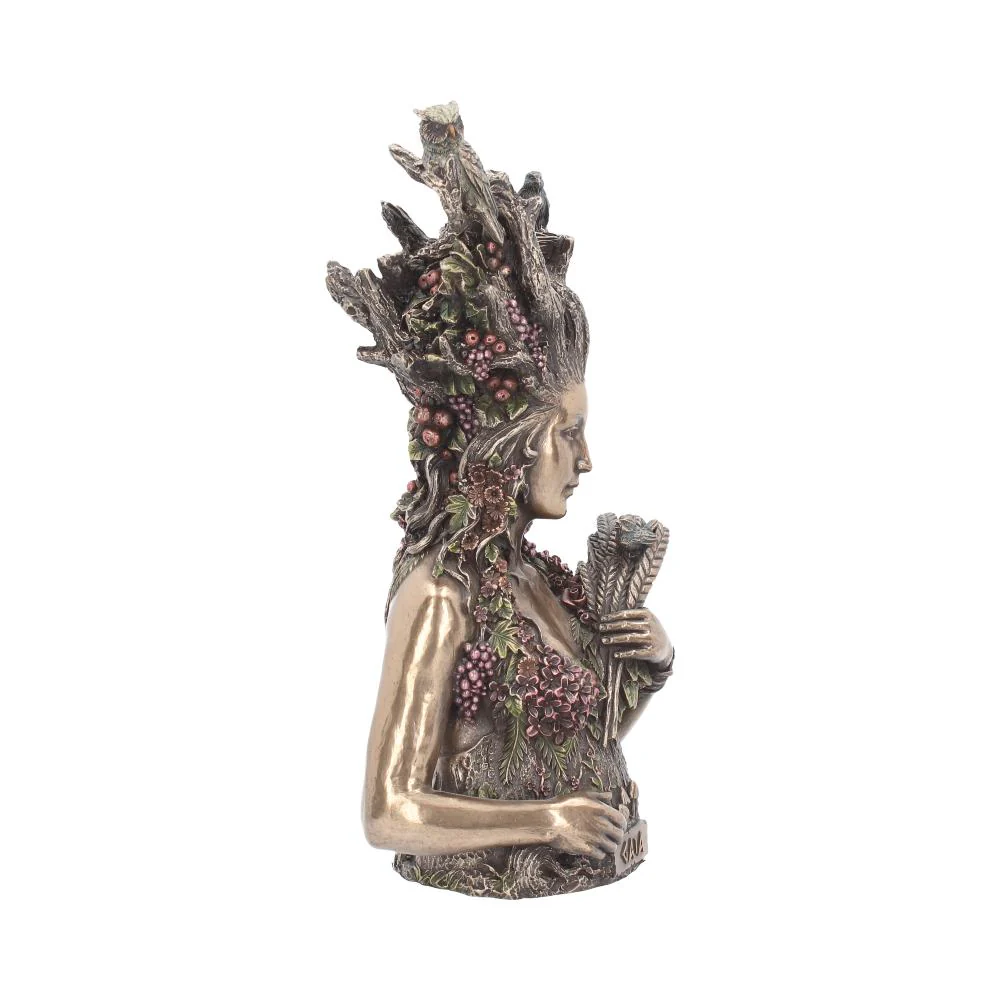 Gaia Bronze Bust - Image 6