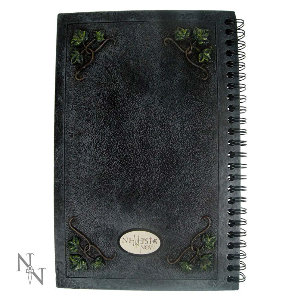 Ivy Book Of Shadows - Image 3