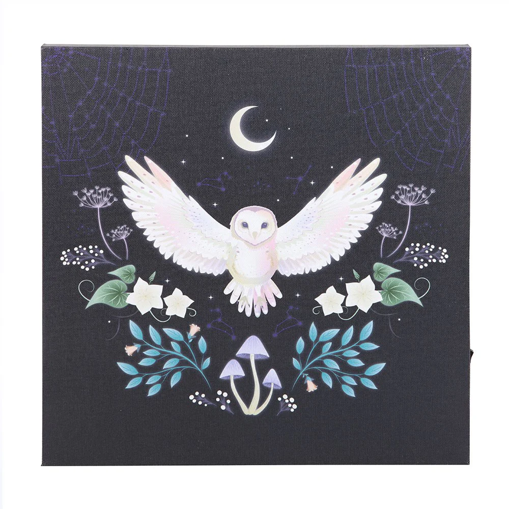 Night Owl Light Up Canvas Plaque - Image 3