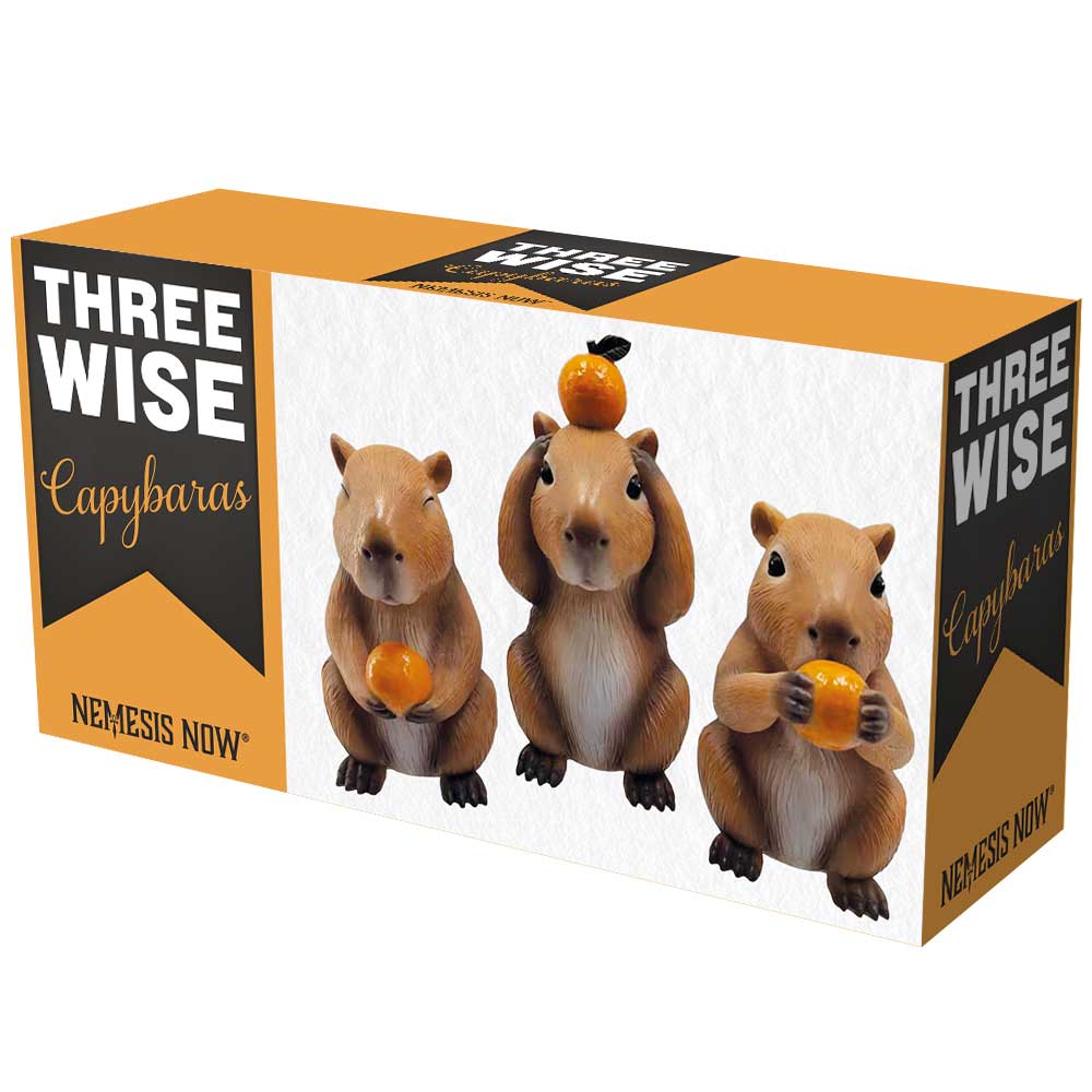 Three Wise Capybaras - Image 7